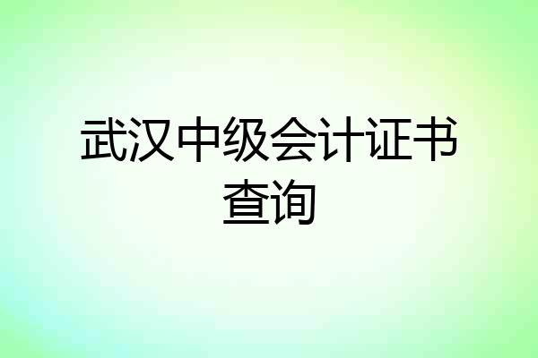 武汉中级会计证书查询