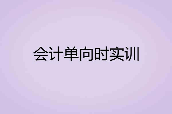 会计单向时实训
