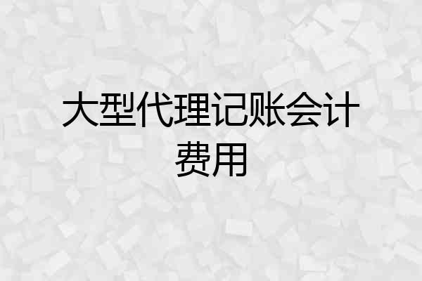 大型代理记账会计费用