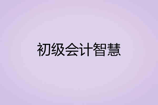 初级会计智慧