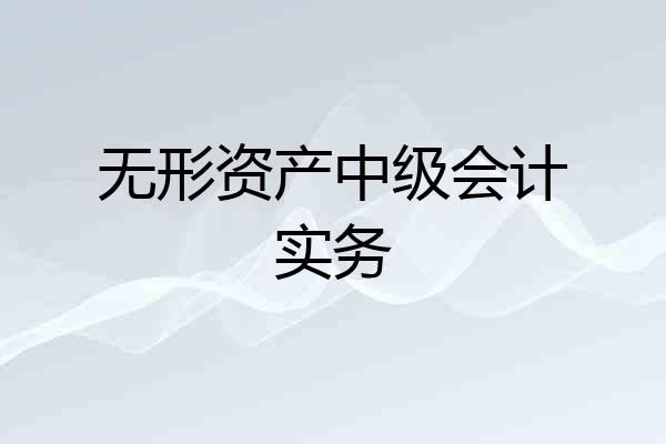 无形资产中级会计实务