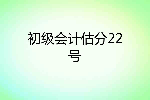 初级会计估分22号