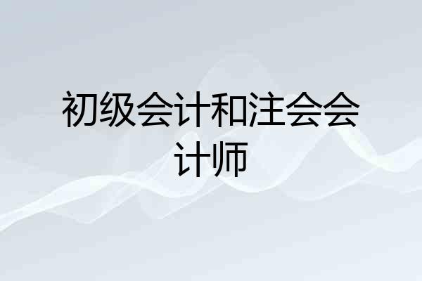 初级会计和注会会计师