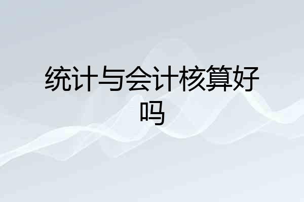 统计与会计核算好吗