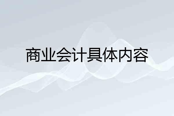 商业会计具体内容