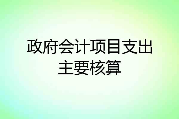 政府会计项目支出主要核算