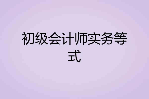 初级会计师实务等式