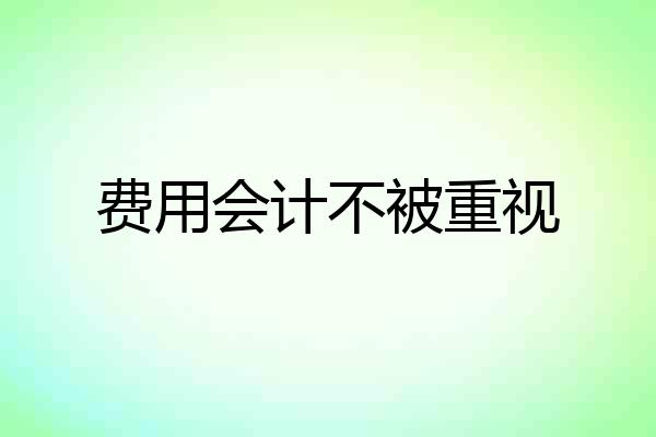 费用会计不被重视