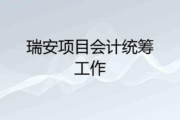 瑞安项目会计统筹工作