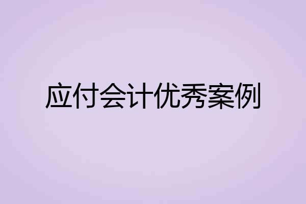 应付会计优秀案例