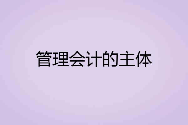 管理会计的主体