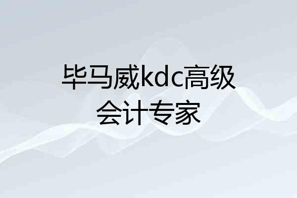 毕马威kdc高级会计专家