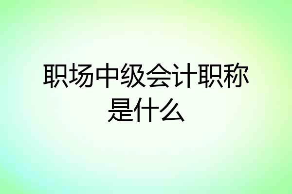 职场中级会计职称是什么