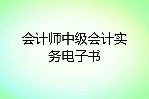 会计师中级会计实务电子书
