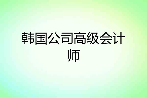 韩国公司高级会计师