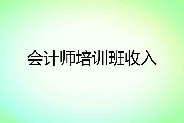 会计师培训班收入