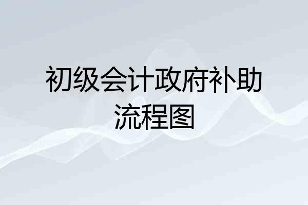 初级会计政府补助流程图