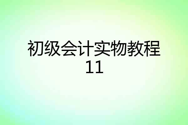 初级会计实物教程11