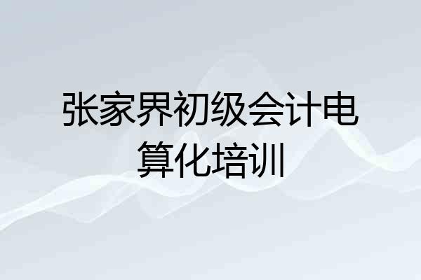 张家界初级会计电算化培训