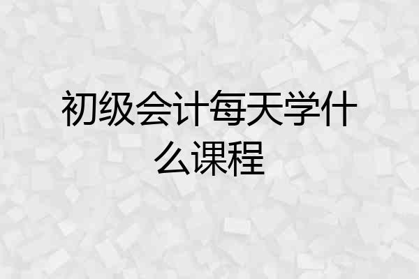 初级会计每天学什么课程