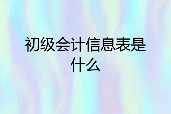 初级会计信息表是什么