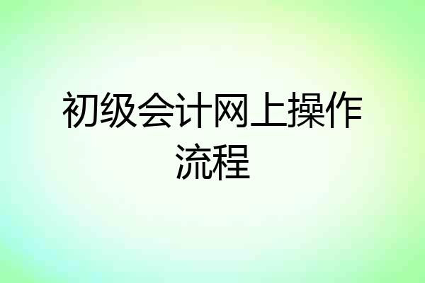 初级会计网上操作流程
