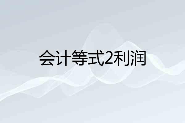 会计等式2利润