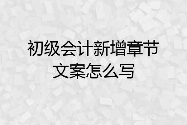 初级会计新增章节文案怎么写