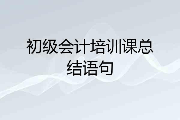 初级会计培训课总结语句