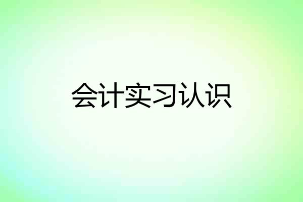 会计实习认识