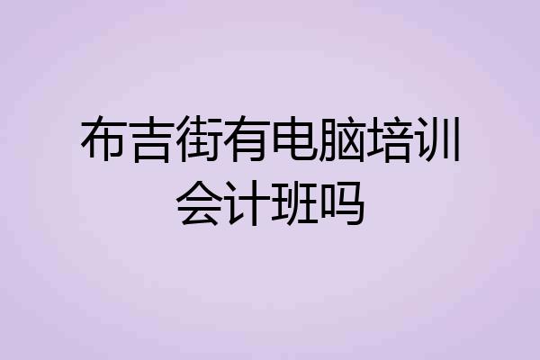 布吉街有电脑培训会计班吗