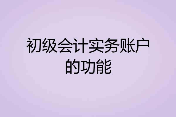 初级会计实务账户的功能