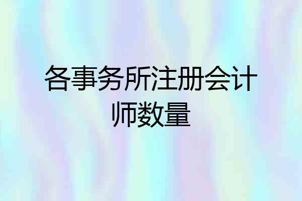 各事务所注册会计师数量