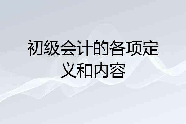 初级会计的各项定义和内容