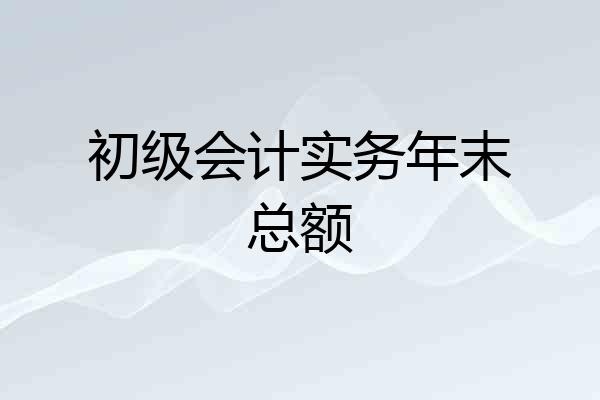 初级会计实务年末总额