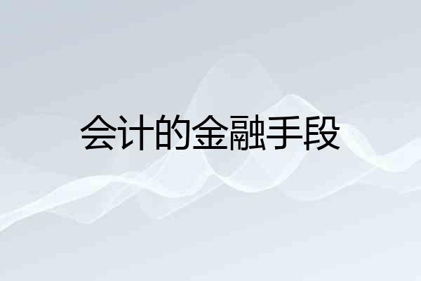 会计的金融手段