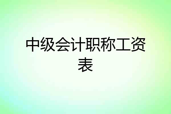中级会计职称工资表