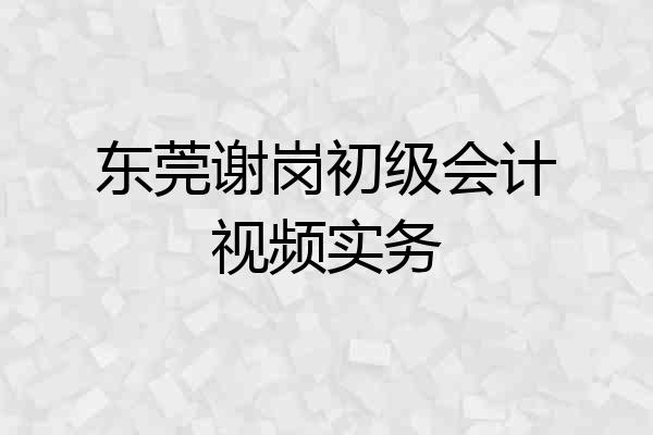 东莞谢岗初级会计视频实务