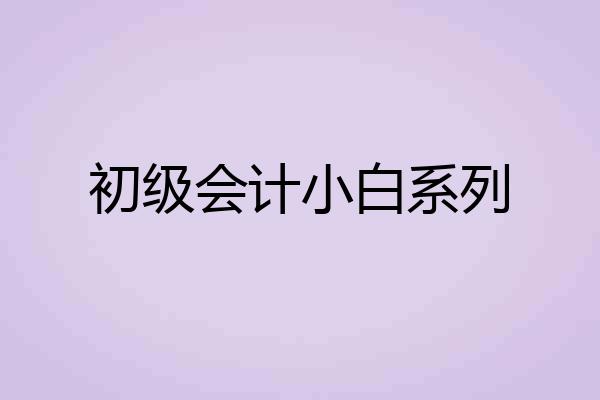 初级会计小白系列