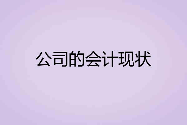 公司的会计现状