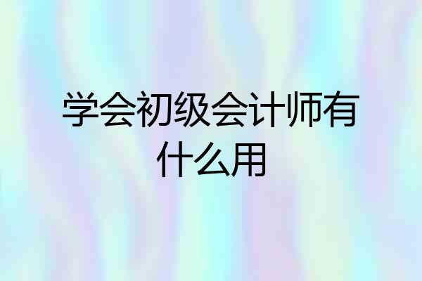 学会初级会计师有什么用
