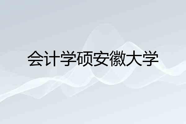 会计学硕安徽大学