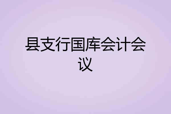 县支行国库会计会议