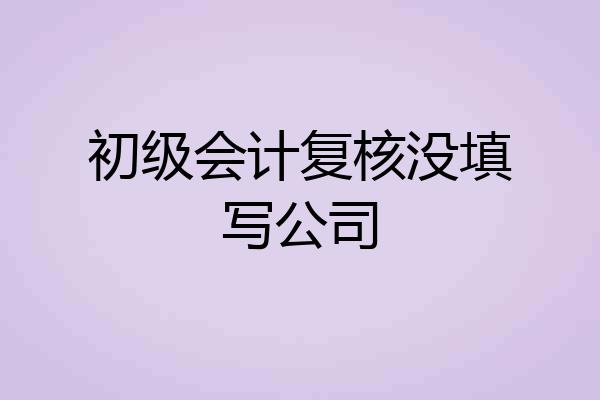 初级会计复核没填写公司