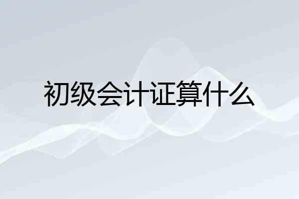 初级会计证算什么