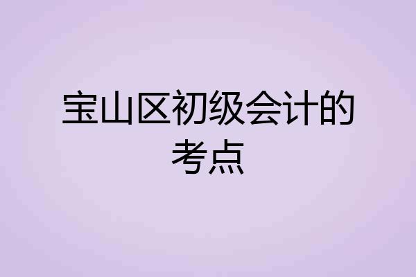 宝山区初级会计的考点