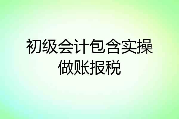 初级会计包含实操做账报税