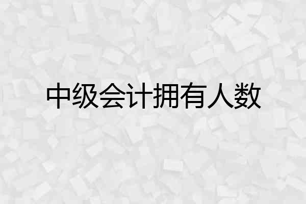 中级会计拥有人数