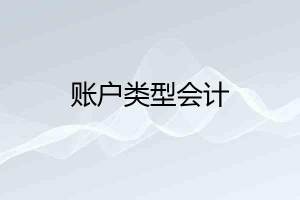 账户类型会计