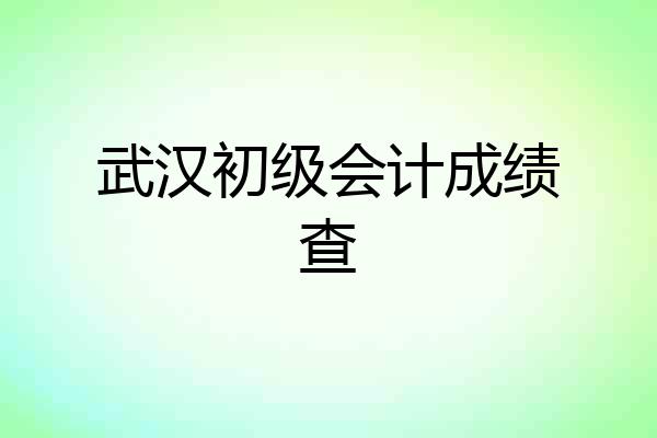 武汉初级会计成绩查
